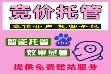 某公司sem代运营之旅：从失败到成功的转变